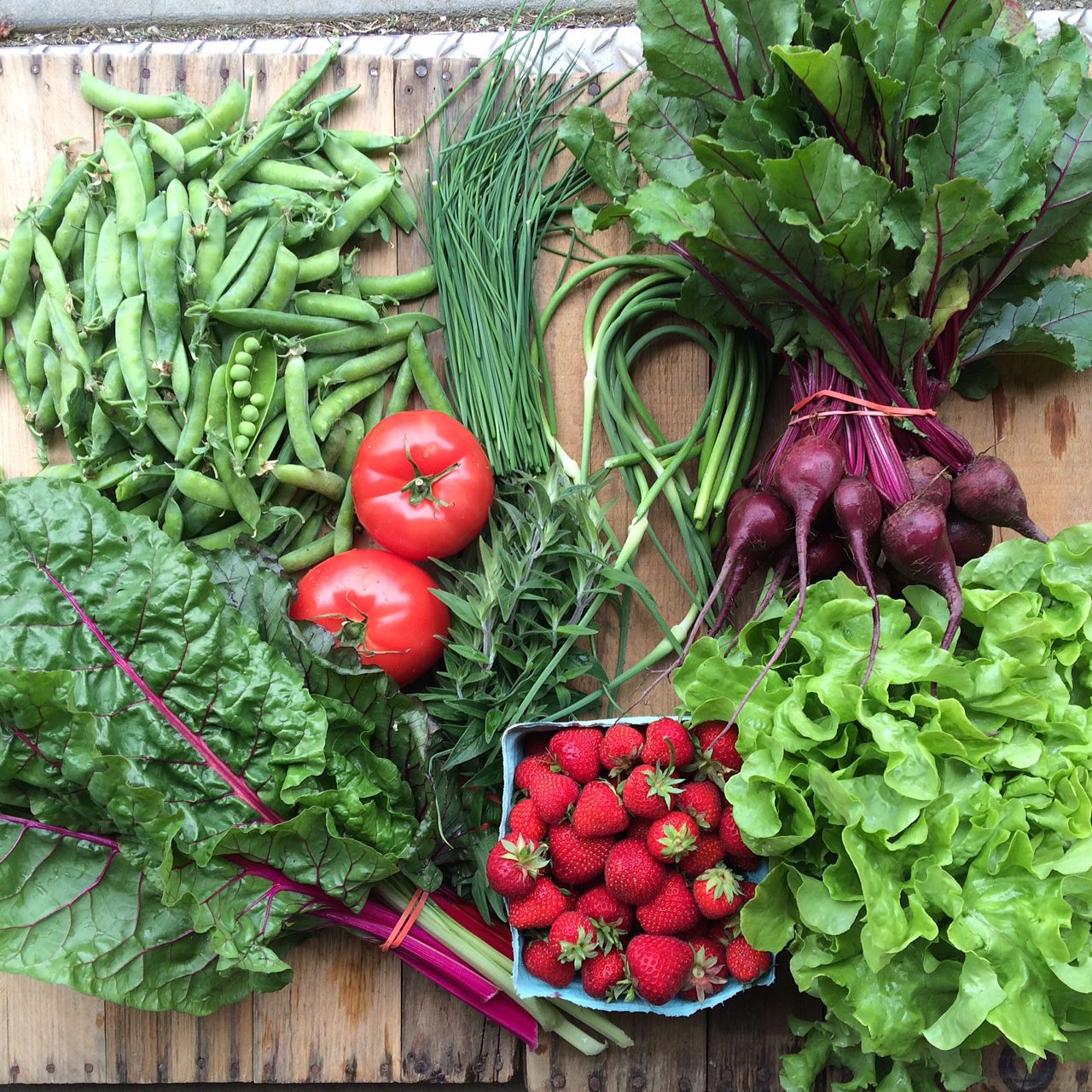 2017 CSA